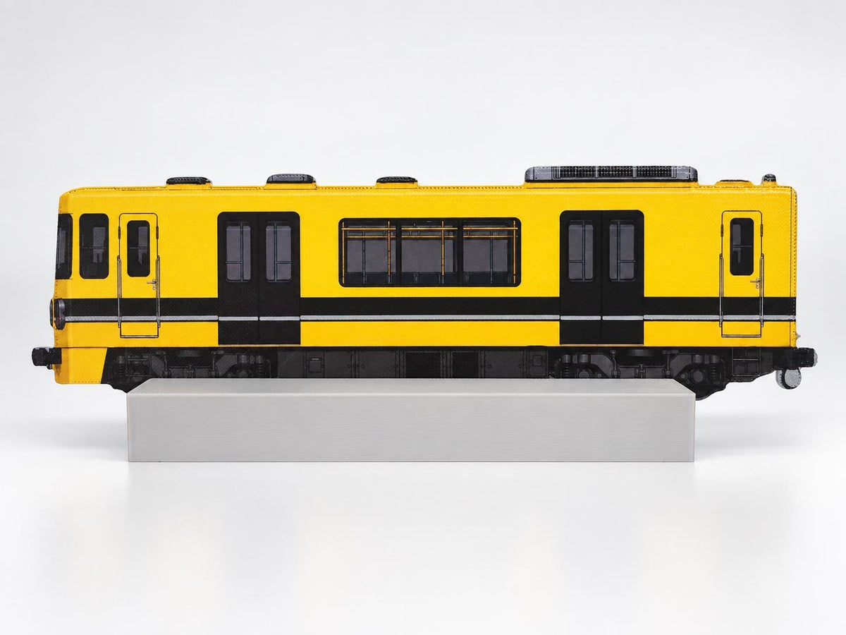 Buenos Aires Graffiti Practice Train, 3D Printed Rail Model, Acrylic Marker Canvas, Street Art Collectible