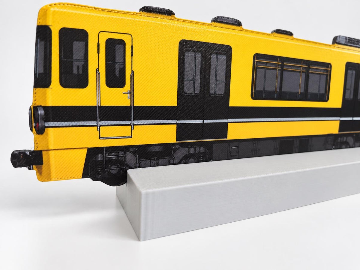Buenos Aires Graffiti Practice Train, 3D Printed Rail Model, Acrylic Marker Canvas, Street Art Collectible